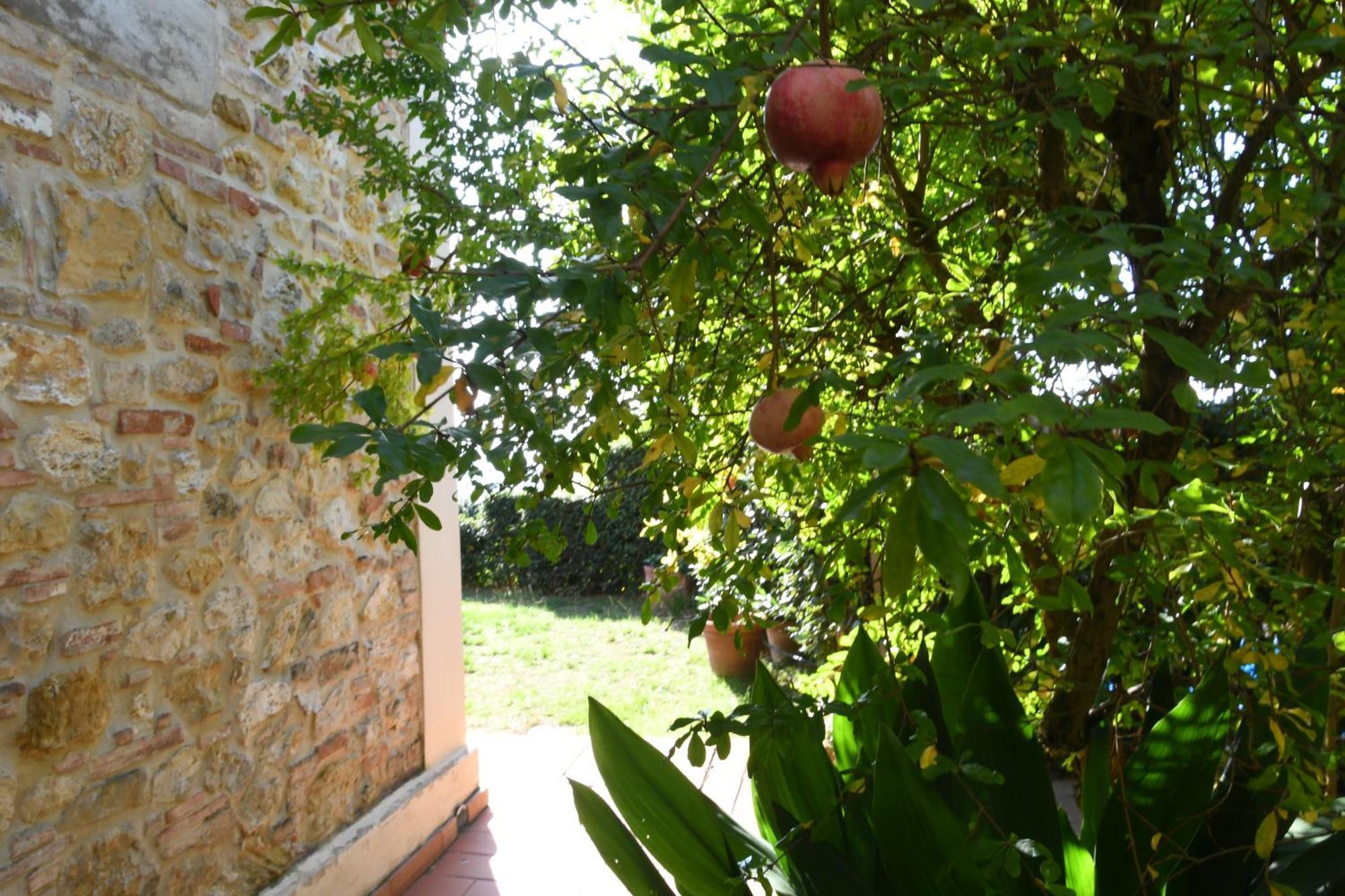 Podere Le Monache *